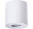 Потолочный светильник Arte Lamp A1460PL-1WH 1