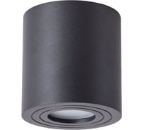 Потолочный светильник Arte Lamp A1460PL-1BK