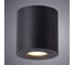 Потолочный светильник Arte Lamp A1460PL-1BK 3