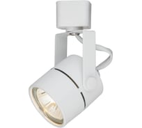 Потолочный светильник Arte Lamp A1310PL-1WH