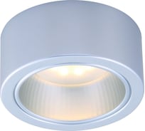 Потолочный светильник Arte Lamp A5553PL-1GY
