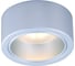 Потолочный светильник Arte Lamp A5553PL-1GY 1