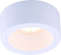 Потолочный светильник Arte Lamp A5553PL-1WH