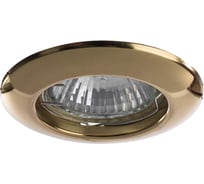 Потолочный светильник Arte Lamp A1203PL-1GO