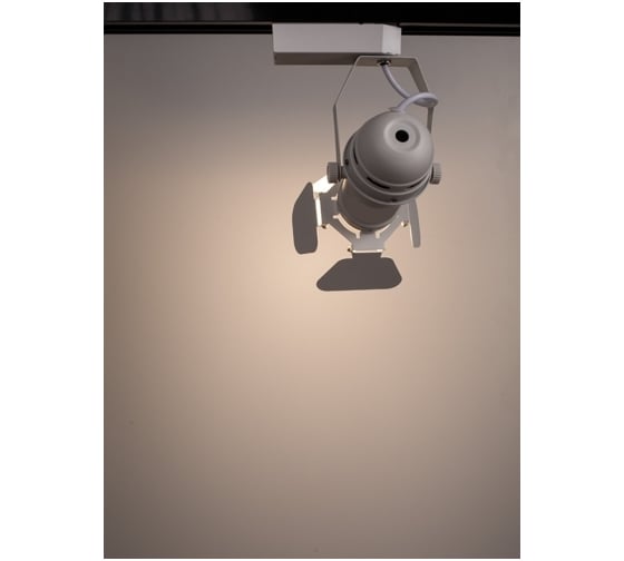 Потолочный светильник Arte Lamp A5319PL-1WH