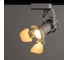 Потолочный светильник Arte Lamp A5319PL-1WH 3