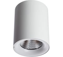 Потолочный светильник Arte Lamp A5118PL-1WH