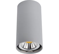 Потолочный светильник Arte Lamp A1516PL-1GY