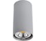 Потолочный светильник Arte Lamp A1516PL-1GY 1