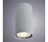 Потолочный светильник Arte Lamp A1516PL-1GY 2
