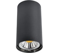 Потолочный светильник Arte Lamp A1516PL-1BK