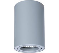 Потолочный светильник Arte Lamp A1560PL-1GY