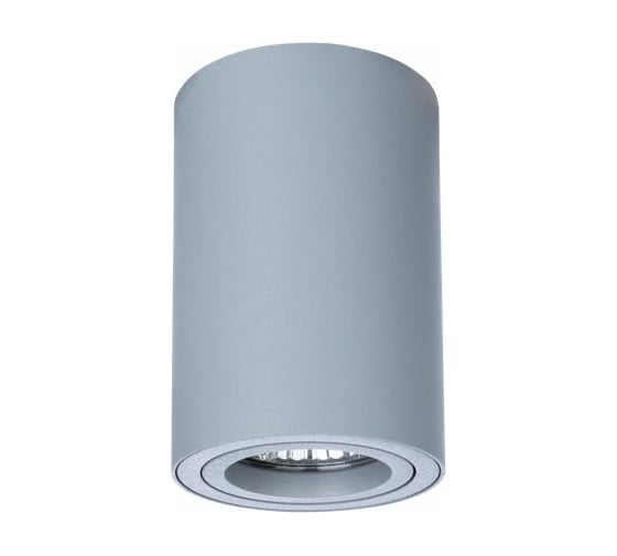 Потолочный светильник Arte Lamp A1560PL-1GY 1