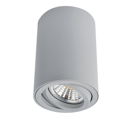 Потолочный светильник Arte Lamp A1560PL-1GY