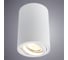 Потолочный светильник Arte Lamp A1560PL-1WH 2