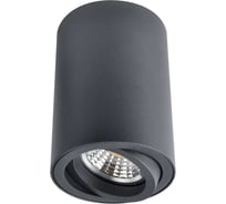 Потолочный светильник Arte Lamp A1560PL-1BK