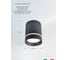 Потолочный светильник Arte Lamp A1560PL-1BK 3