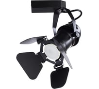 Потолочный светильник Arte Lamp A5319PL-1BK