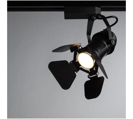 Потолочный светильник Arte Lamp A5319PL-1BK