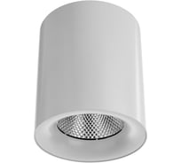 Потолочный светильник Arte Lamp A5130PL-1WH
