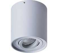 Потолочный светильник Arte Lamp A5645PL-1GY
