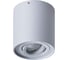 Потолочный светильник Arte Lamp A5645PL-1GY 1