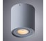 Потолочный светильник Arte Lamp A5645PL-1GY 3