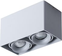 Потолочный светильник Arte Lamp A5654PL-2GY