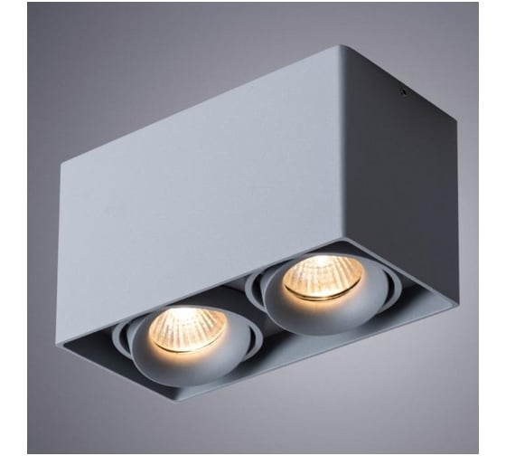 Потолочный светильник Arte Lamp A5654PL-2GY