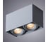 Потолочный светильник Arte Lamp A5654PL-2GY 3