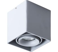 Потолочный светильник Arte Lamp A5654PL-1GY