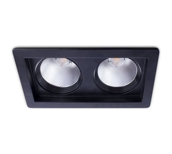Потолочный светильник Arte Lamp A7018PL-2BK