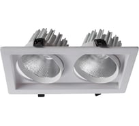 Потолочный светильник Arte Lamp A7018PL-2WH