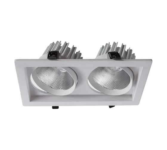Потолочный светильник Arte Lamp A7018PL-2WH