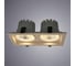 Потолочный светильник Arte Lamp A7018PL-2WH 3