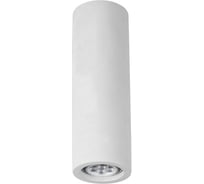 Потолочный светильник Arte Lamp A9267PL-1WH