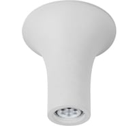 Потолочный светильник Arte Lamp A9461PL-1WH