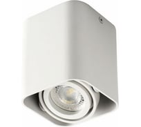 Точечный накладной светильник KANLUX TOLEO DTL50-W 26114