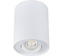 Накладной точечный светильник KANLUX BORD DLP-50-W 22551
