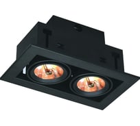 Потолочный поворотный светильник Arte Lamp A5930PL-2BK