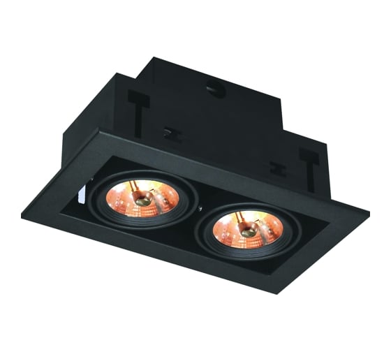 Потолочный поворотный светильник Arte Lamp A5930PL-2BK 1
