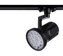 Потолочный поворотный светильник Arte Lamp A6118PL-1BK