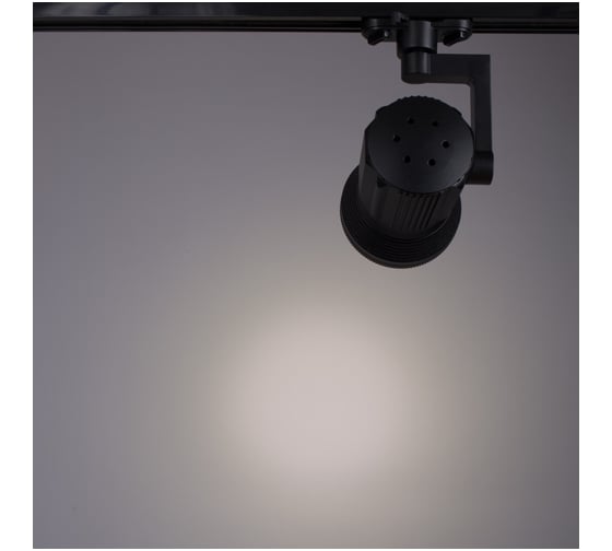 Потолочный поворотный светильник Arte Lamp A6118PL-1BK