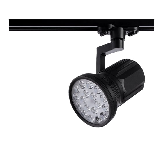 Потолочный поворотный светильник Arte Lamp A6118PL-1BK 1