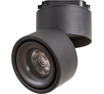 Потолочные светильники Arte Lamp A7716PL-1BK