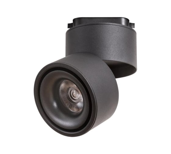 Потолочные светильники Arte Lamp A7716PL-1BK