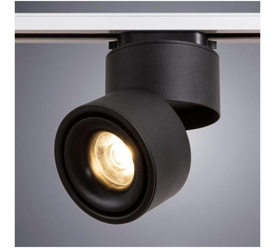 Потолочные светильники Arte Lamp A7716PL-1BK