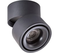 Потолочные светильники Arte Lamp A7715PL-1BK