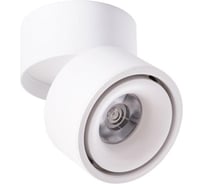 Потолочные светильники Arte Lamp A7715PL-1WH