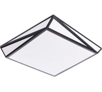 Потолочные светильники Arte Lamp A1929PL-1BK